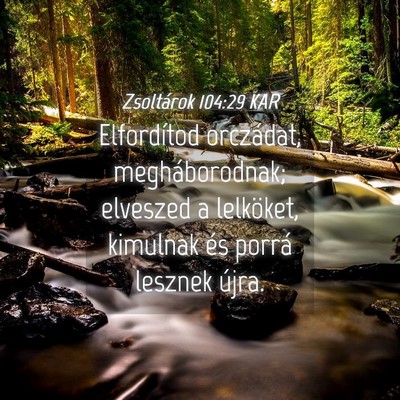 Picture 04 - Zsoltárok 104:29 KAR - Elfordítod orczádat, megháborodnak; elveszed a - Bible Verse Picture