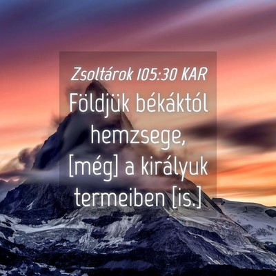 Picture 04 - Zsoltárok 105:30 KAR - Földjük békáktól hemzsege, [még] a - Bible Verse Picture