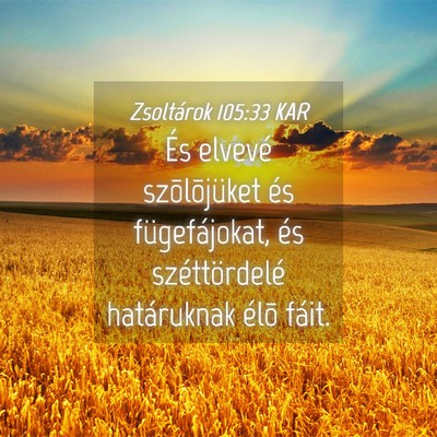 Picture 04 - Zsoltárok 105:33 KAR - És elvevé szõlõjüket és fügefájokat, és - Bible Verse Picture