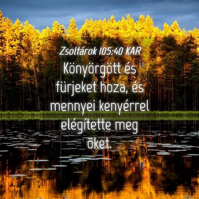 Picture 04 - Zsoltárok 105:40 KAR - Könyörgött és fürjeket hoza, és mennyei - Bible Verse Picture