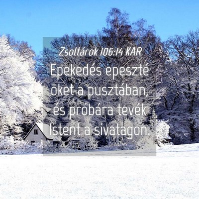 Picture 04 - Zsoltárok 106:14 KAR - Epekedés epeszté õket a pusztában, és - Bible Verse Picture