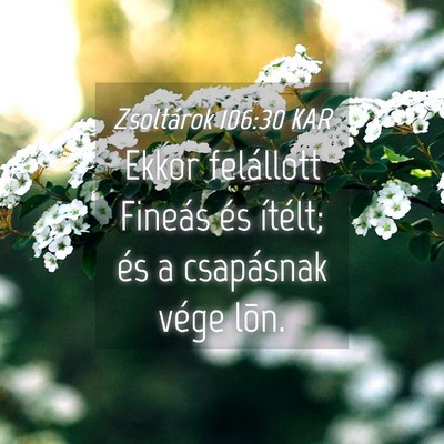 Picture 04 - Zsoltárok 106:30 KAR - Ekkor felállott Fineás és ítélt; és a - Bible Verse Picture