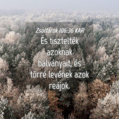 Picture 04 - Zsoltárok 106:36 KAR - És tisztelték azoknak bálványait, és tõrré - Bible Verse Picture