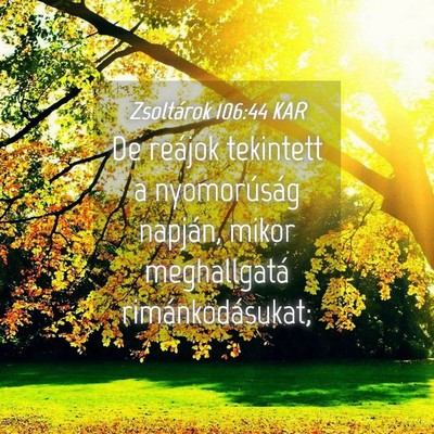 Picture 04 - Zsoltárok 106:44 KAR - De reájok tekintett a nyomorúság napján, - Bible Verse Picture