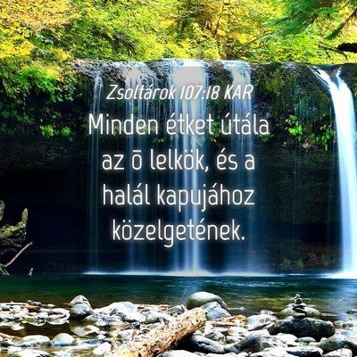 Picture 04 - Zsoltárok 107:18 KAR - Minden étket útála az õ lelkök, és a halál - Bible Verse Picture