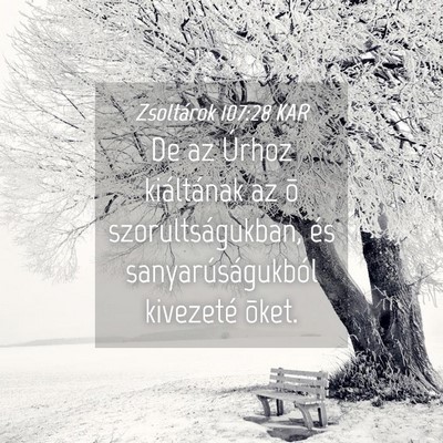 Picture 04 - Zsoltárok 107:28 KAR - De az Úrhoz kiáltának az õ szorultságukban, - Bible Verse Picture