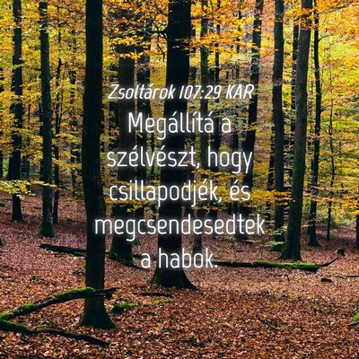 Picture 04 - Zsoltárok 107:29 KAR - Megállítá a szélvészt, hogy csillapodjék, - Bible Verse Picture