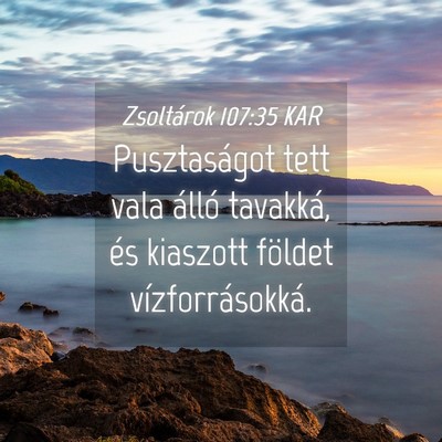 Picture 04 - Zsoltárok 107:35 KAR - Pusztaságot tett vala álló tavakká, és - Bible Verse Picture