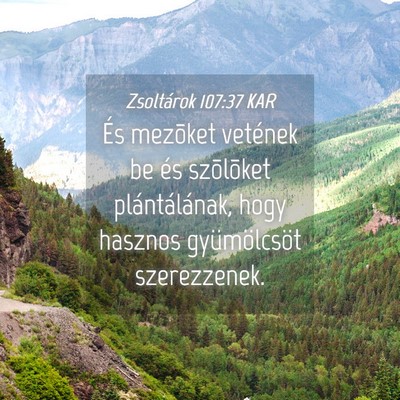Picture 04 - Zsoltárok 107:37 KAR - És mezõket vetének be és szõlõket - Bible Verse Picture