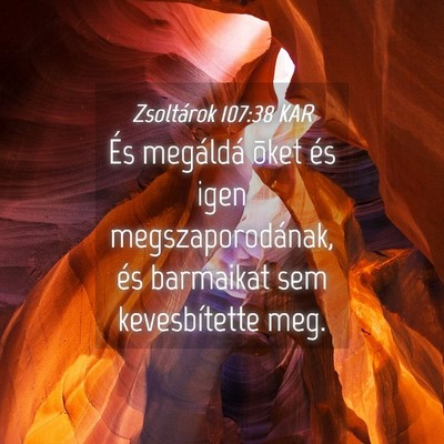 Picture 04 - Zsoltárok 107:38 KAR - És megáldá õket és igen megszaporodának, - Bible Verse Picture