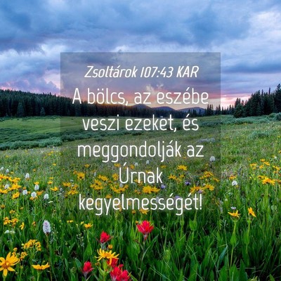Picture 04 - Zsoltárok 107:43 KAR - A bölcs, az eszébe veszi ezeket, és - Bible Verse Picture