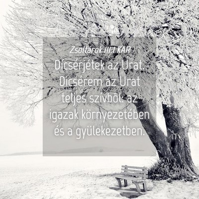 Picture 04 - Zsoltárok 111:1 KAR - Dícsérjétek az Urat. Dicsérem az Urat teljes - Bible Verse Picture