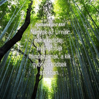 Picture 04 - Zsoltárok 111:2 KAR - Nagyok az Úrnak cselekedetei; kivánatosak - Bible Verse Picture