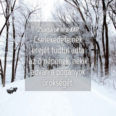 Picture 04 - Zsoltárok 111:6 KAR - Cselekedeteinek erejét tudtul adta az õ - Bible Verse Picture