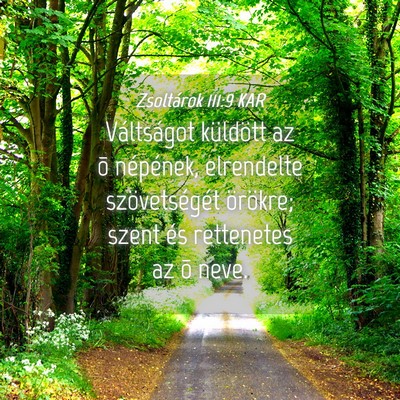 Picture 04 - Zsoltárok 111:9 KAR - Váltságot küldött az õ népének, elrendelte - Bible Verse Picture