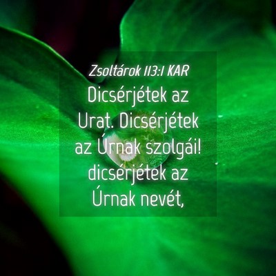 Picture 04 - Zsoltárok 113:1 KAR - Dicsérjétek az Urat. Dicsérjétek az Úrnak - Bible Verse Picture