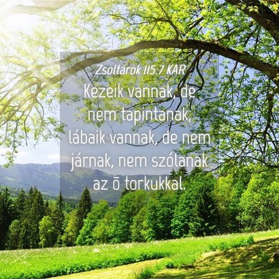 Picture 04 - Zsoltárok 115:7 KAR - Kezeik vannak, de nem tapintanak, lábaik vannak, - Bible Verse Picture