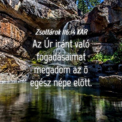 Picture 04 - Zsoltárok 116:14 KAR - Az Úr iránt való fogadásaimat megadom az õ - Bible Verse Picture
