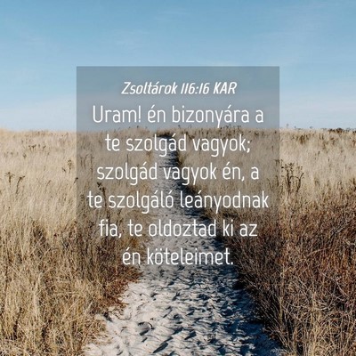 Picture 04 - Zsoltárok 116:16 KAR - Uram! én bizonyára a te szolgád vagyok; - Bible Verse Picture