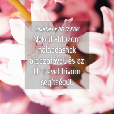 Picture 04 - Zsoltárok 116:17 KAR - Néked áldozom hálaadásnak áldozatával, és - Bible Verse Picture