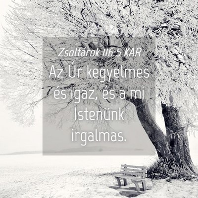 Picture 04 - Zsoltárok 116:5 KAR - Az Úr kegyelmes és igaz, és a mi Istenünk - Bible Verse Picture