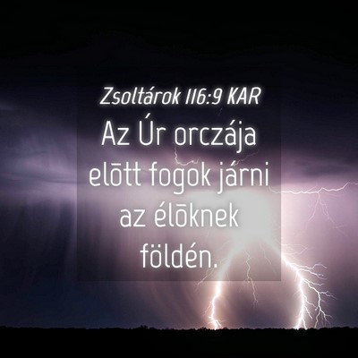 Picture 04 - Zsoltárok 116:9 KAR - Az Úr orczája elõtt fogok járni az élõknek - Bible Verse Picture