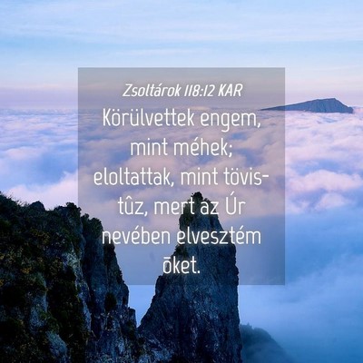 Picture 04 - Zsoltárok 118:12 KAR - Körülvettek engem, mint méhek; eloltattak, - Bible Verse Picture