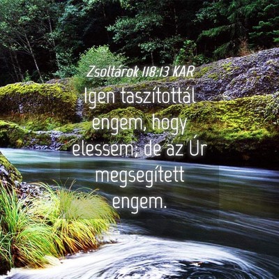 Picture 04 - Zsoltárok 118:13 KAR - Igen taszítottál engem, hogy elessem; de az Úr - Bible Verse Picture