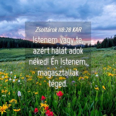 Picture 04 - Zsoltárok 118:28 KAR - Istenem vagy te, azért hálát adok néked! Én - Bible Verse Picture
