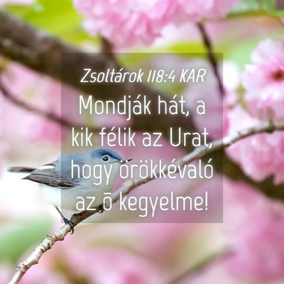 Picture 04 - Zsoltárok 118:4 KAR - Mondják hát, a kik félik az Urat, hogy - Bible Verse Picture