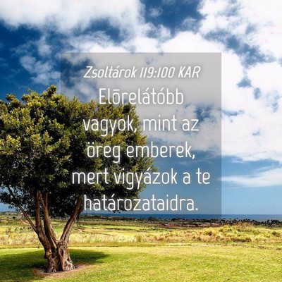 Picture 04 - Zsoltárok 119:100 KAR - Elõrelátóbb vagyok, mint az öreg emberek, - Bible Verse Picture