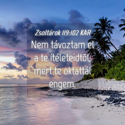 Picture 04 - Zsoltárok 119:102 KAR - Nem távoztam el a te ítéleteidtõl, mert te - Bible Verse Picture
