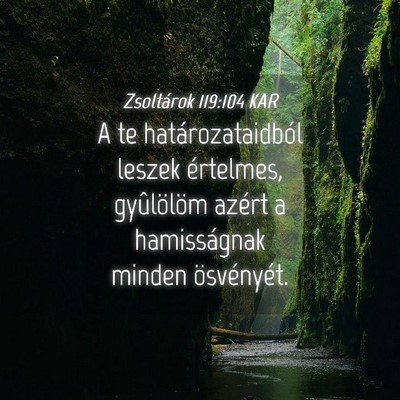 Picture 04 - Zsoltárok 119:104 KAR - A te határozataidból leszek értelmes, - Bible Verse Picture