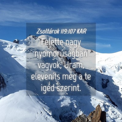 Picture 04 - Zsoltárok 119:107 KAR - Felette nagy nyomorúságban vagyok; Uram, - Bible Verse Picture