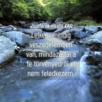 Picture 04 - Zsoltárok 119:109 KAR - Lelkem mindig veszedelemben van, mindazáltal a - Bible Verse Picture