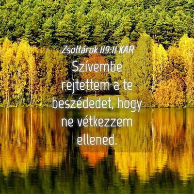 Picture 04 - Zsoltárok 119:11 KAR - Szívembe rejtettem a te beszédedet, hogy ne - Bible Verse Picture