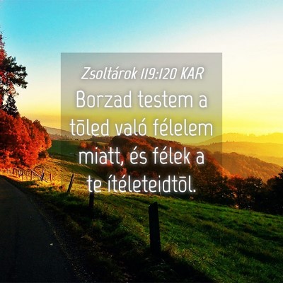 Picture 04 - Zsoltárok 119:120 KAR - Borzad testem a tõled való félelem miatt, és - Bible Verse Picture
