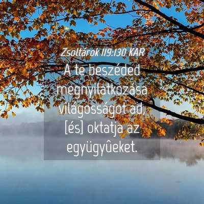 Picture 04 - Zsoltárok 119:130 KAR - A te beszéded megnyilatkozása világosságot - Bible Verse Picture