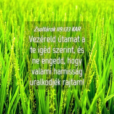Picture 04 - Zsoltárok 119:133 KAR - Vezéreld útamat a te igéd szerint, és ne - Bible Verse Picture