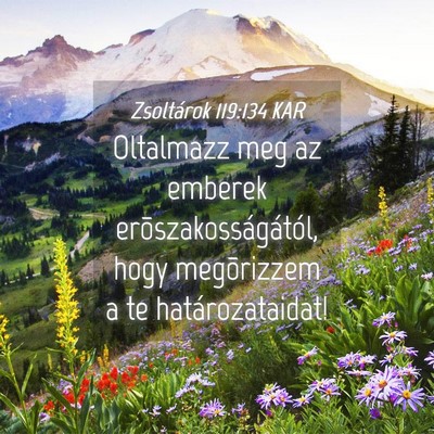 Picture 04 - Zsoltárok 119:134 KAR - Oltalmazz meg az emberek erõszakosságától, - Bible Verse Picture