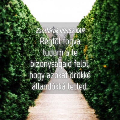 Picture 04 - Zsoltárok 119:152 KAR - Régtõl fogva tudom a te bizonyságaid felõl, - Bible Verse Picture
