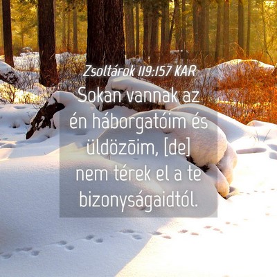 Picture 04 - Zsoltárok 119:157 KAR - Sokan vannak az én háborgatóim és - Bible Verse Picture