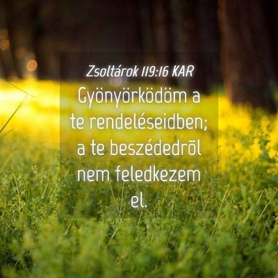 Picture 04 - Zsoltárok 119:16 KAR - Gyönyörködöm a te rendeléseidben; a te - Bible Verse Picture