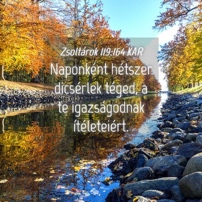 Picture 04 - Zsoltárok 119:164 KAR - Naponként hétszer dicsérlek téged, a te - Bible Verse Picture