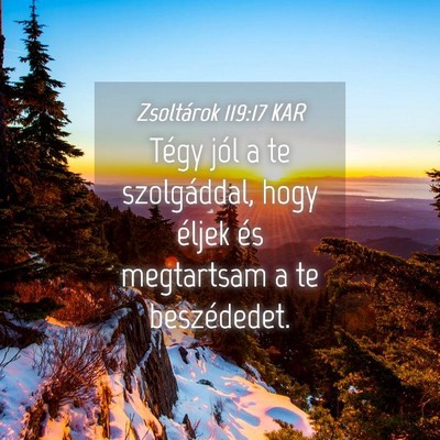 Picture 04 - Zsoltárok 119:17 KAR - Tégy jól a te szolgáddal, hogy éljek és - Bible Verse Picture