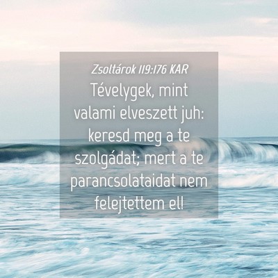 Picture 04 - Zsoltárok 119:176 KAR - Tévelygek, mint valami elveszett juh: keresd meg - Bible Verse Picture