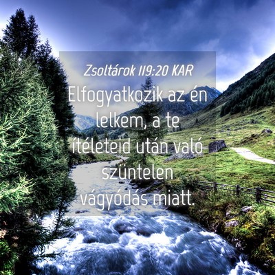Picture 04 - Zsoltárok 119:20 KAR - Elfogyatkozik az én lelkem, a te ítéleteid - Bible Verse Picture