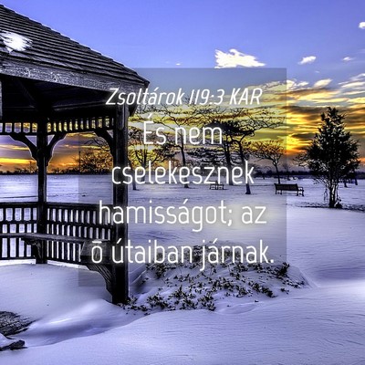 Picture 04 - Zsoltárok 119:3 KAR - És nem cselekesznek hamisságot; az õ útaiban - Bible Verse Picture