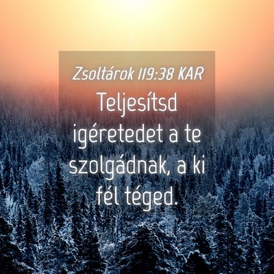Picture 04 - Zsoltárok 119:38 KAR - Teljesítsd igéretedet a te szolgádnak, a ki - Bible Verse Picture