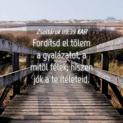 Picture 04 - Zsoltárok 119:39 KAR - Fordítsd el tõlem a gyalázatot, a mitõl - Bible Verse Picture